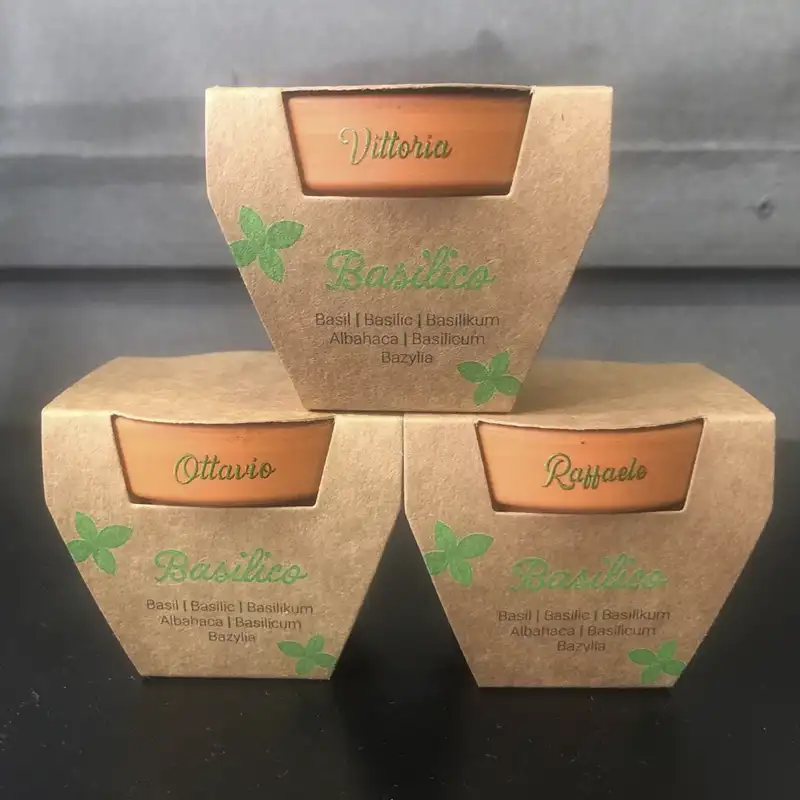 vasetto-con-semi-personalizzato-con-nome Vasetto con semi piante personalizzato con nome a Milano